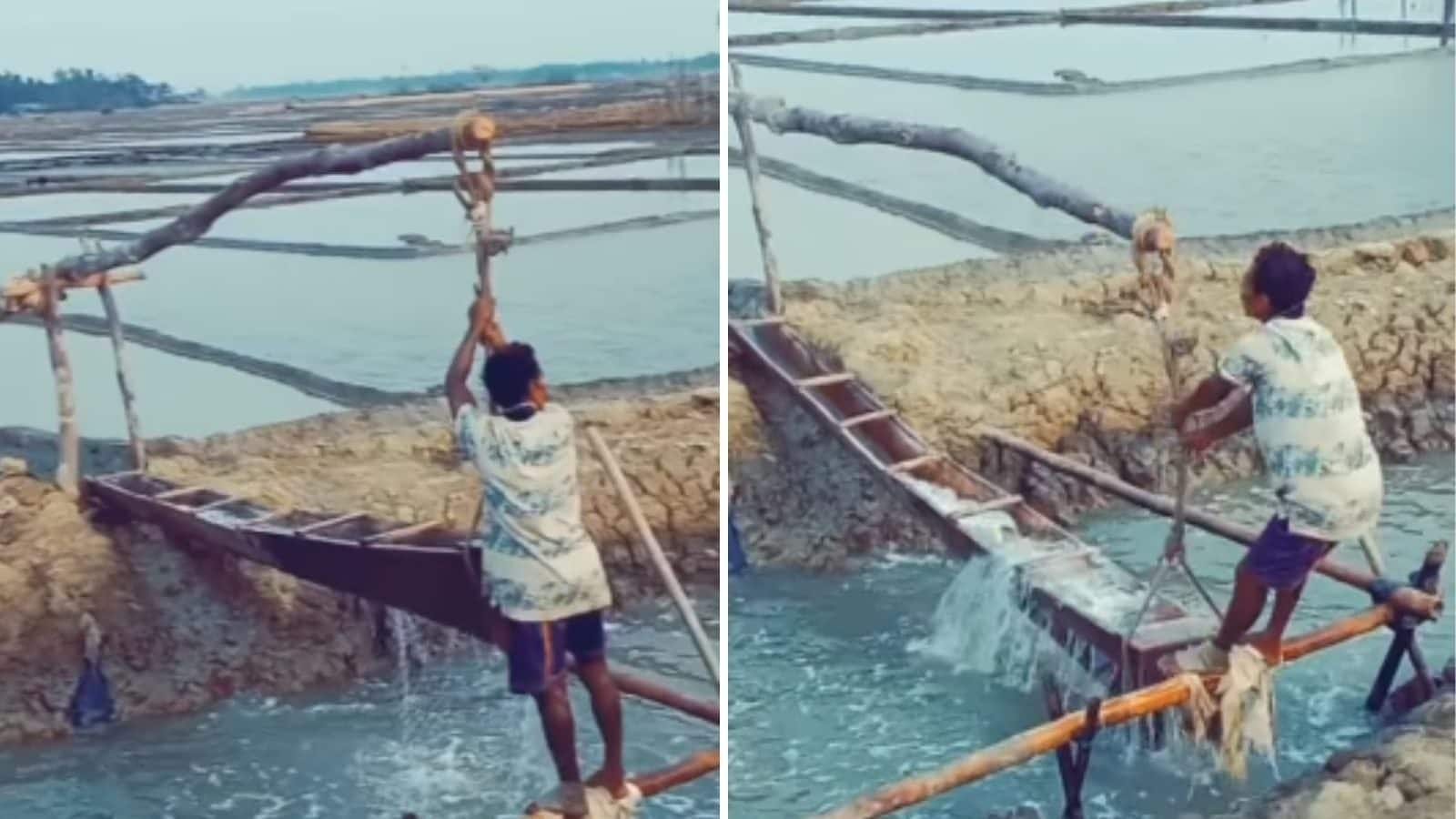 Video of Amazing irrigation technique went viral on social media News18 Gujarati