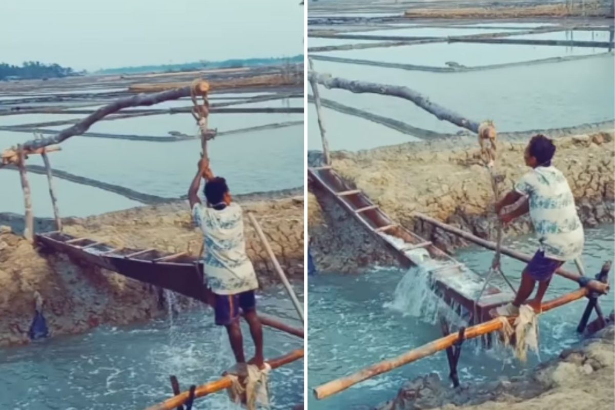 Viral Video : ખેતરમાં પાણી પહોંચાડવા માટે ખેડૂતને આવ્યો ગજબનો આઇડિયા, તમે પણ જુઓ વીડિયો