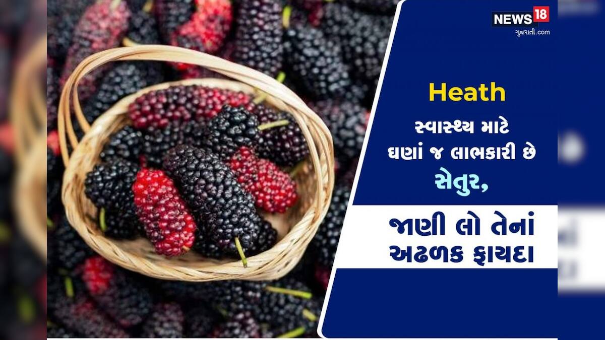 heath tips setur mulberry fruit health benefits News18 Gujarati