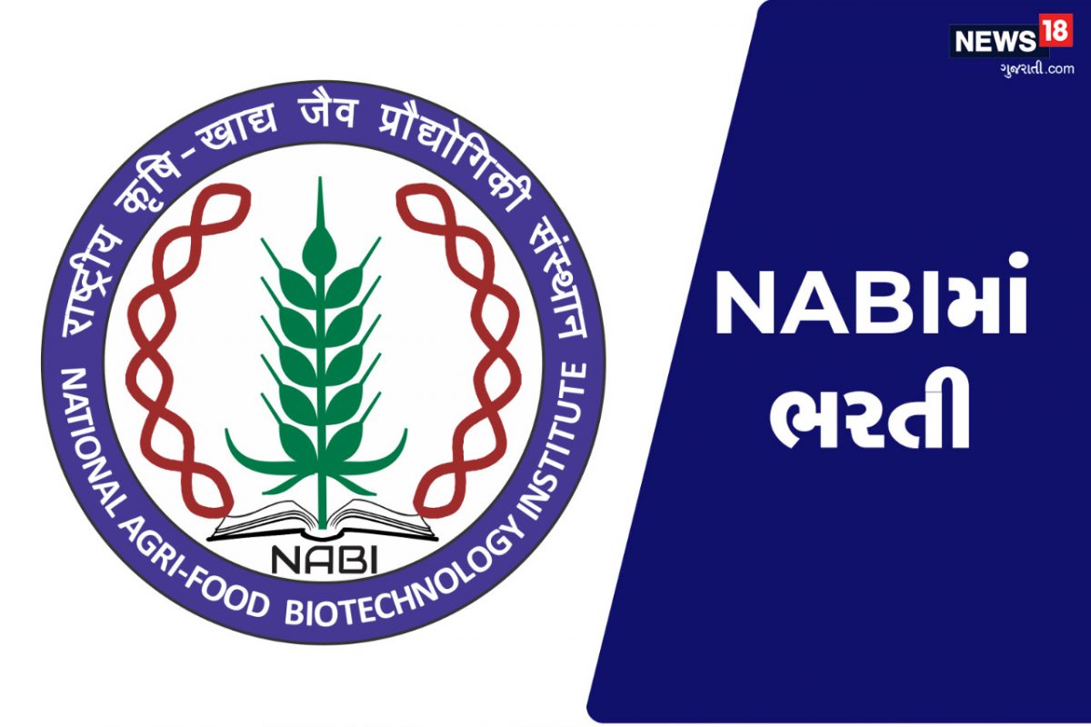 NABI Recruitment: નેશનલ એગ્રી-ફૂડ બાયોટેકનોલોજી ઇન્સ્ટિટ્યૂટમાં ભરતી, 35,000 સુધી મળશે પગાર