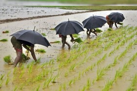 Monsoon 2022: વરસાદ દેશને આપશે મોંઘવારીમાંથી રાહત! એક જ ઝટકે દૂર થઈ શકે છે ખાદ્ય ફુગાવો