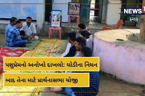 સમગ્ર