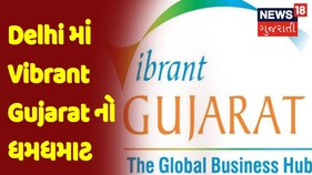 Delhi માં Vibrant Gujarat નો ધમધમાટ | CM Bhupendra Patel ની બેઠકોનો દોર