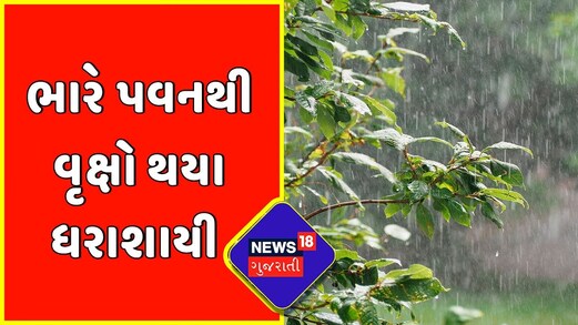 Gujarat Rain: Rajkotમાં ભારે વરસાદ વરસતા અનેક વિસ્તારોમાં પાણી ભરાયા