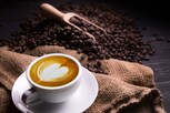 કોફીના નિયમિત સેવનથી કિડનીના રોગ મટી શકે  છે? જાણો શું કહે છે એક્સપર્ટ