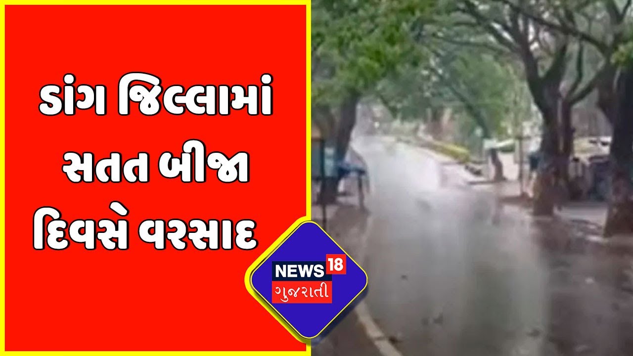 Monsoon Update: દક્ષિણ ગુજરાતમાં મેઘ તાંડવની જેવી સ્થિતિ