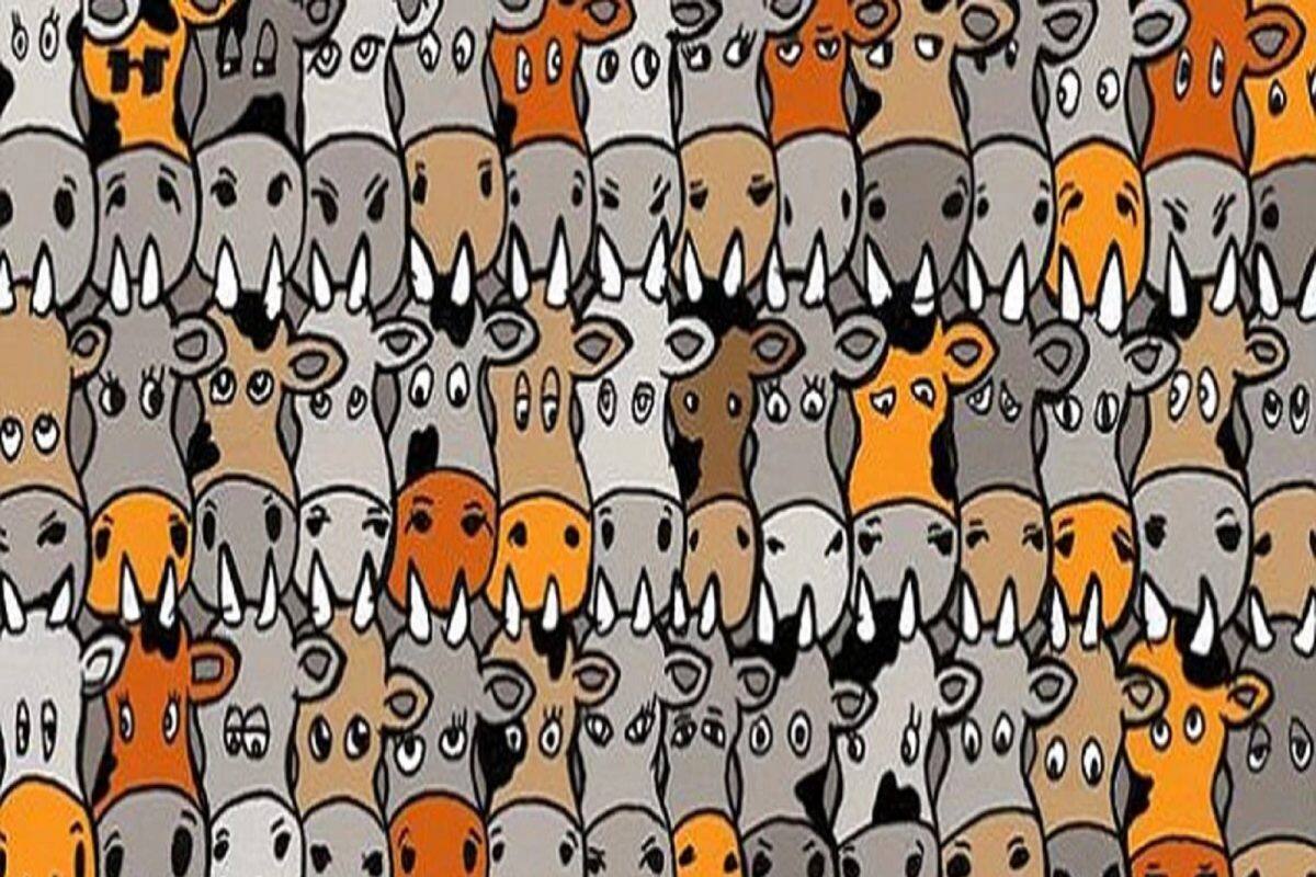 Optical Illusion: શું તમારી નજર બાજ જેવી તેજ છે? જો હા તો 10 સેકન્ડમાં ગાયો વચ્ચે છુપાયેલ કૂતરો શોધી બતાવો