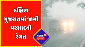 Gujarat Rain : દક્ષિણ ગુજરાતમાં જામી વરસાદની રંગત