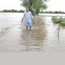 કલ્યાણપુર તાલુકામાં ખાબકેલા ભારે વરસાદના કારણે ખેતરો પાણીમાં ગરકાવ