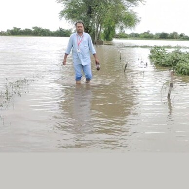 કલ્યાણપુર તાલુકામાં ખાબકેલા ભારે વરસાદના કારણે ખેતરો પાણીમાં ગરકાવ