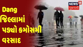 Gujarat Weather Update | Unseasonal Rain | Dang જિલ્લામાં પડ્યો કમોસમી વરસાદ
