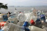 સિંગલ યુઝ પ્લાસ્ટિક આરોગ્ય માટે છે ખતરનાક, જાણો શું કહે છે એક્સપર્ટ