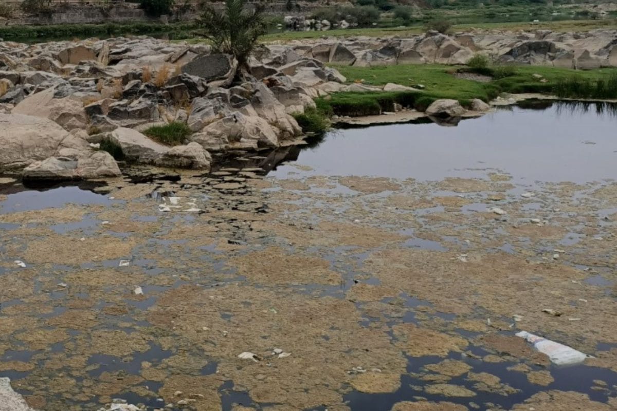 ગુજરાતની 20 નદીઓ પ્રદૂષિતની યાદીમાં, નદીના આ પટ્ટા છે ખતરનાક