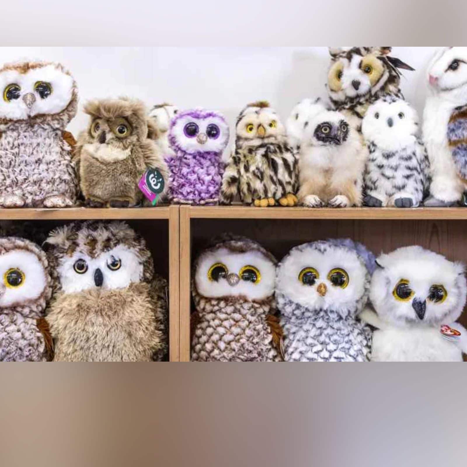 optical illusion between fake and real owl the challenge of identifying real owl among the toys