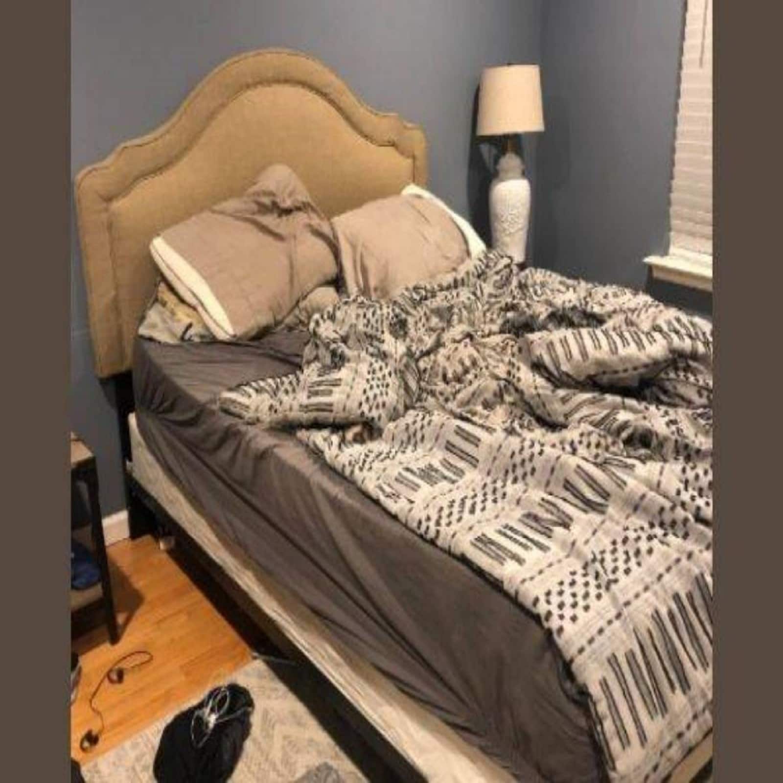 optical illusion spot the dog lying in the bed viral online puzzle game