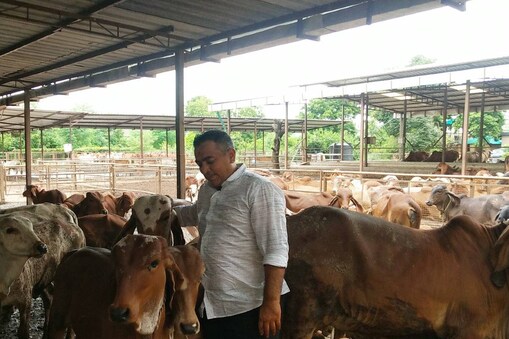 ધ