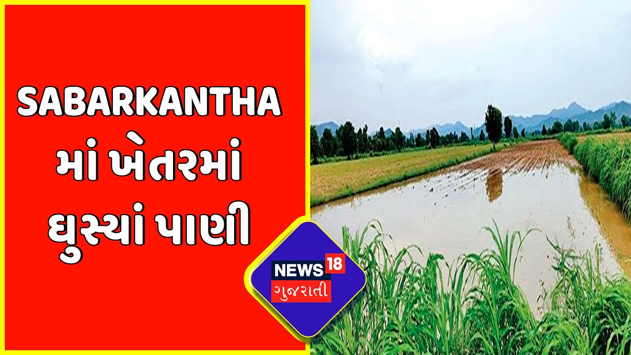 Sabarkantha : ખેતરમાં ઘુસ્યાં વરસાદના પાણી | Sabarkantha News