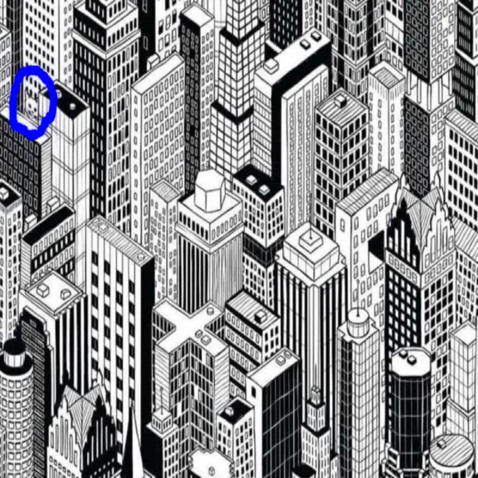 can you spot the hidden cat among buildings within 10 seconds viral puzzle