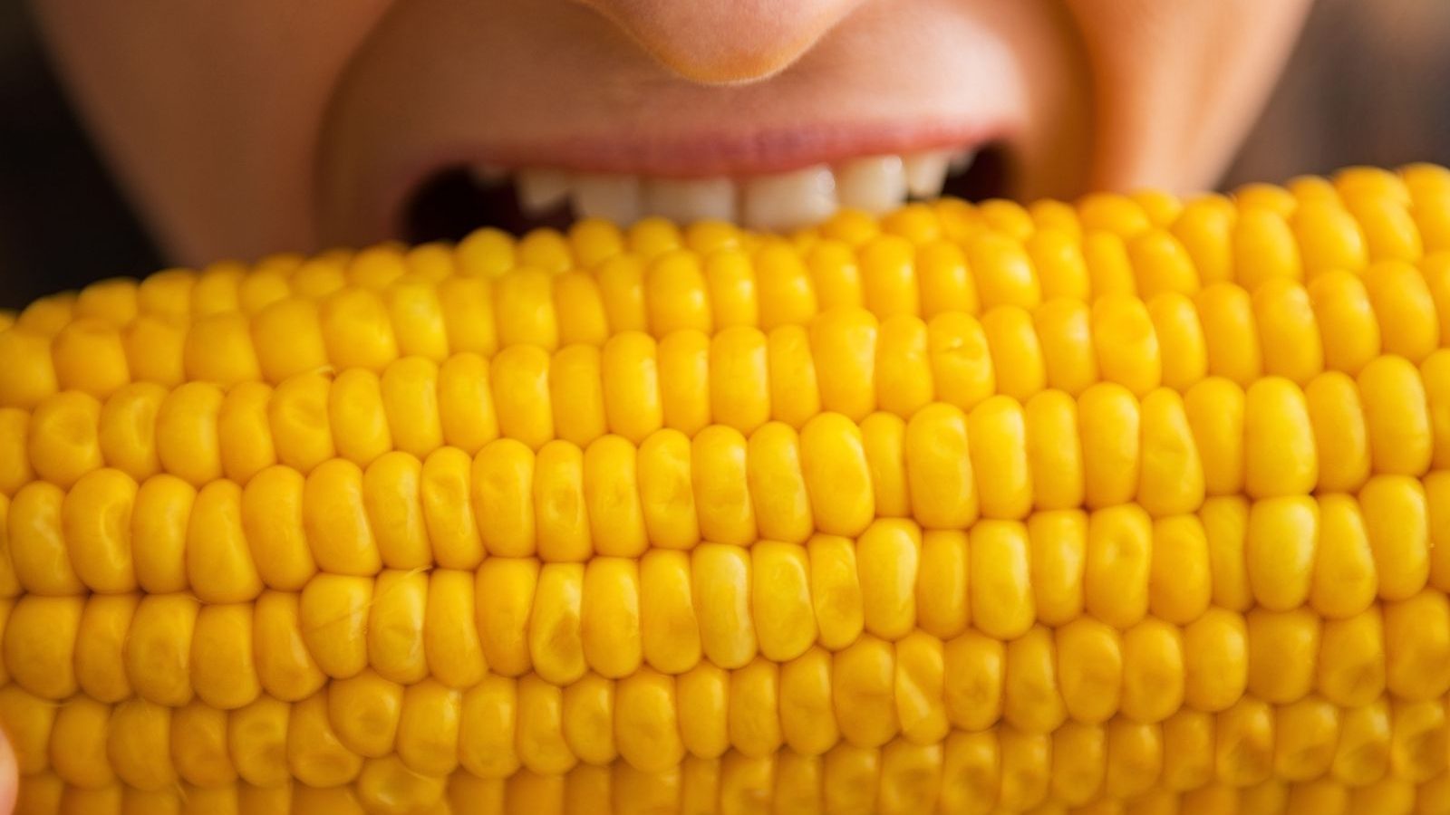 eating-of-corn-in-pregnancy-period-effects-of-health