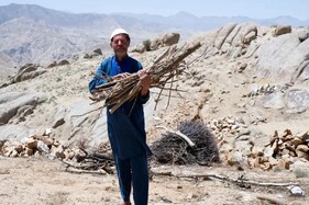 અફઘાનિસ્તાનમાં દુકાળને કારણે કફોડી હાલત, લોકો પેટ ભરવા ઘાસ ખાય છે! જુઓ તસવીરો
