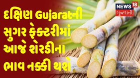 Sugarcane ની Price આજે દક્ષિણ Gujarat ની Sugar Factory માં નક્કી થશે