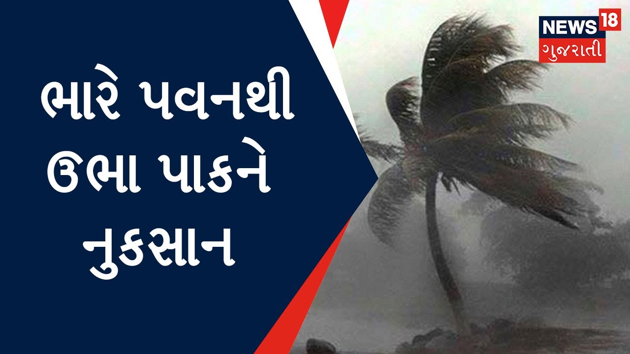 Gujarat Weather | ભારે વરસાદ મામલે હવામાન વિભાગની આગાહી | monsoon update
