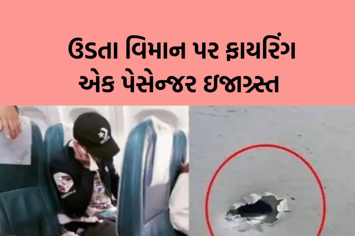 3500 ફૂટ ઊંચે આકાશમાં ઊડી રહેલા વિમાન પર ગોળીબાર, પેસેન્જરને વાગી ગઈ ગોળી અને...
