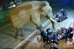 VIDEO: હાથી બન્યો હુમલાખોર, બાઇકને હવામાં ઉડાવ્યાં