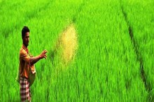 Bhavnagar: ખેતરો થયા ધમધમતા, જાણો શિયાળું પાકમાં સૌથી વધુ ક્યું વાવેતર થયું!