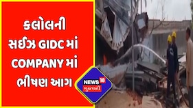 કલોલની સઈઝ GIDC માં Company માં ભીષણ આગ | Fire Accident