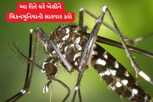 ઘરે બેઠા આ રીતે ચિકનગુનિયાની સારવાર કરશો તો થઇ જશે રાહત