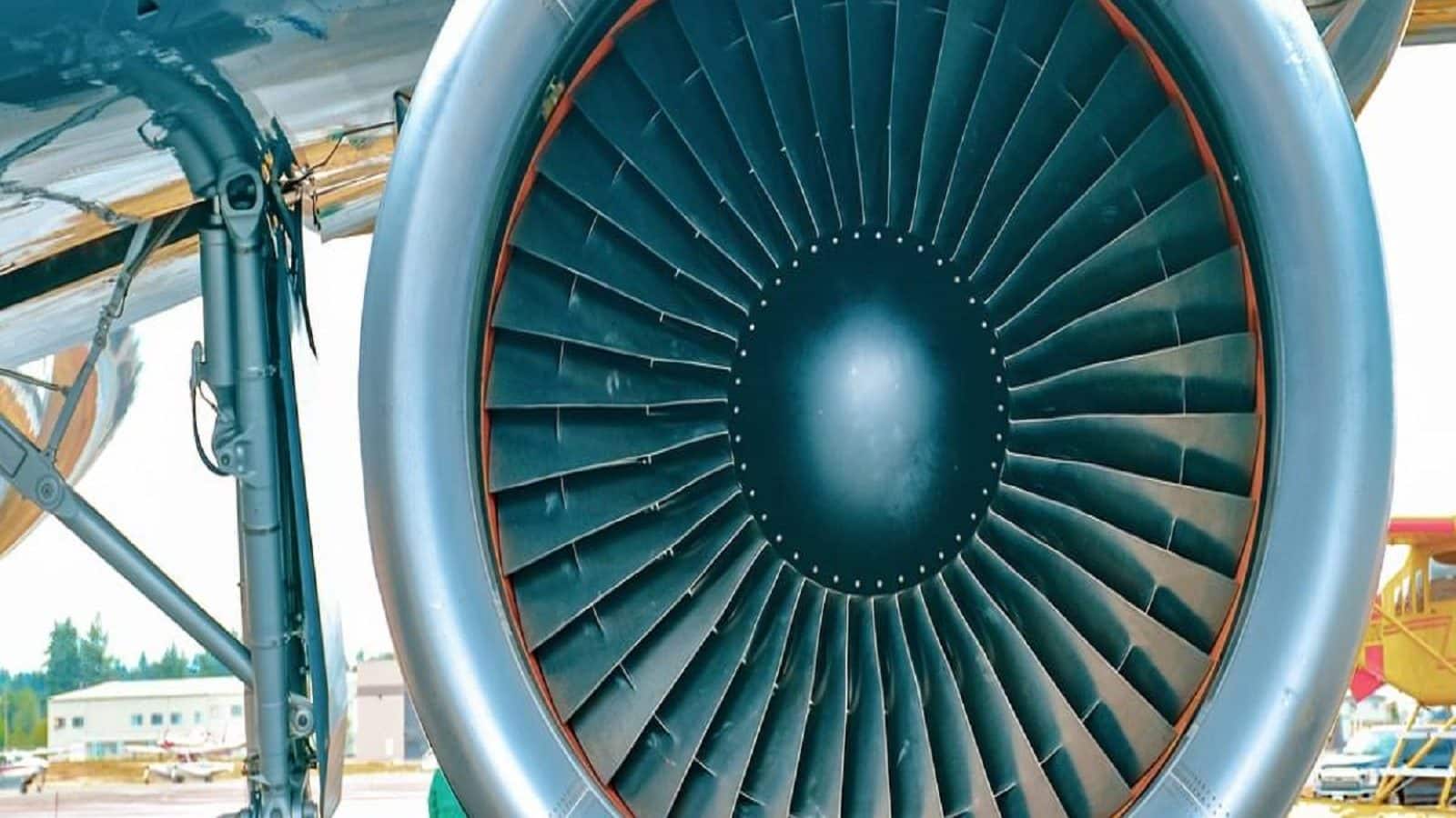 Surprising Fact About Aircraft Engine A chicken is thrown into the