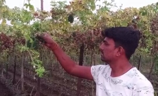 એકમાત્ર