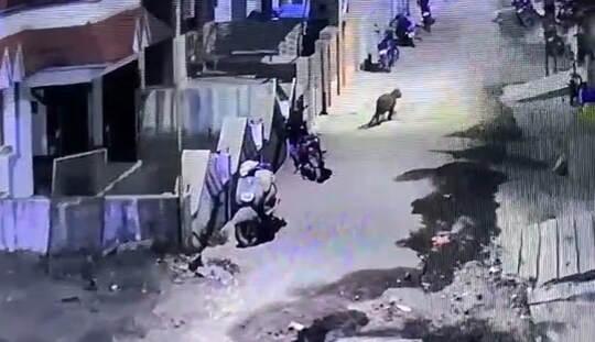 સોસાયટીમાં