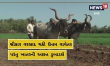 Kutch: કચ્છ જિલ્લાના ખેડૂતો કેમ મૂંજાયા છે, કુદરત નહીં પરંતુ સરકારી તંત્રથી છે નારાજ!