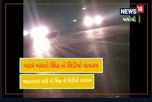 Amreli: સિંહની એન્ટ્રી થતા વાહનોની લાગી ગઈ કતાર, જુઓ Video