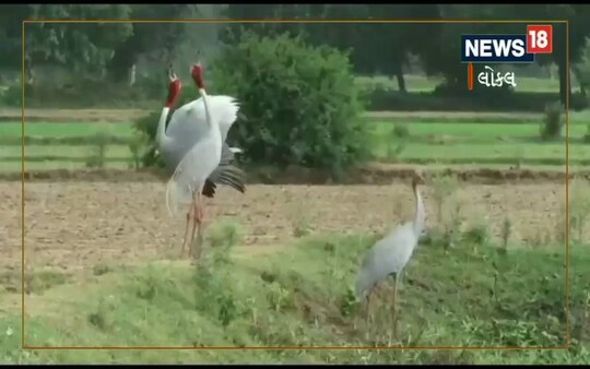 પંદરવર્ષ
