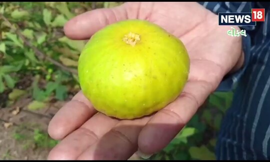 પ્રતિ