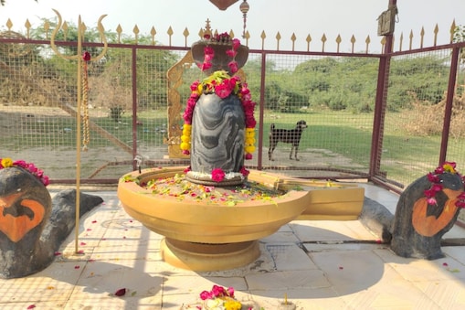 રાજા