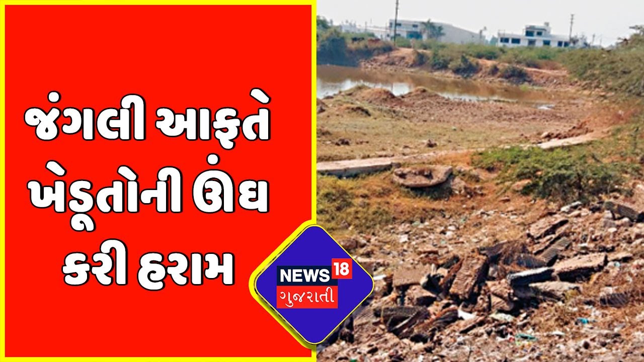 Panchmahal : તળાવ પર જંગલી ખતરાનું સામ્રાજ્ય
