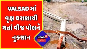 Valsad : વૃક્ષ ધરાશાયી થતાં વીજ પોલને નુકસાન