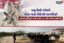 Kutch: લાખો રૂપિયા ખર્ચીને વિદેશીઓ આ જિલ્લામાં ભેંસ જોવા આવે છે!