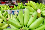 કાચા કેળા ખાવાથી હેલ્થને થાય છે અઢળક ફાયદાઓ