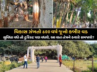 Bharuch : વિકાસ ઝંખતો  600 વર્ષ જૂનો કબીર વડ, અહીં મહિલા શૌચાલયની જરૂર
