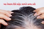 ફક્ત 45 મિનીટમાં સફેદ વાળ હંમેશા માટે થઈ જશે કાળા, બસ આ વાતોનું રાખો ધ્યાન