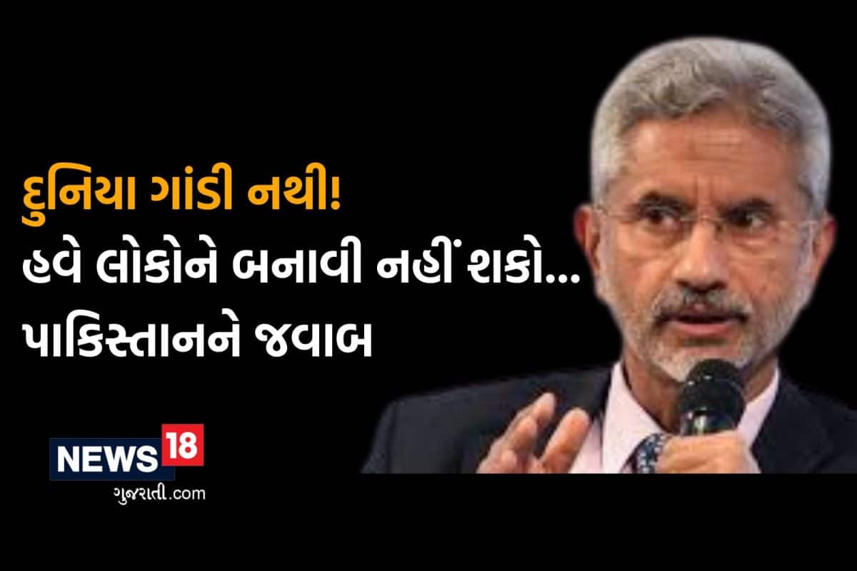 Jaishankar On Pak: દુનિયા ગાંડી નથી! પાડોશી મંત્રીને પુછો આતંકવાદ ક્યારે બંધ કરશો? પાક. પત્રકારને જયશંકરે કહી દીધું