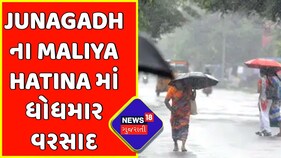 Gujarat Weather News : Junagadhના Maliya Hatinaમાં ધોધમાર વરસાદ