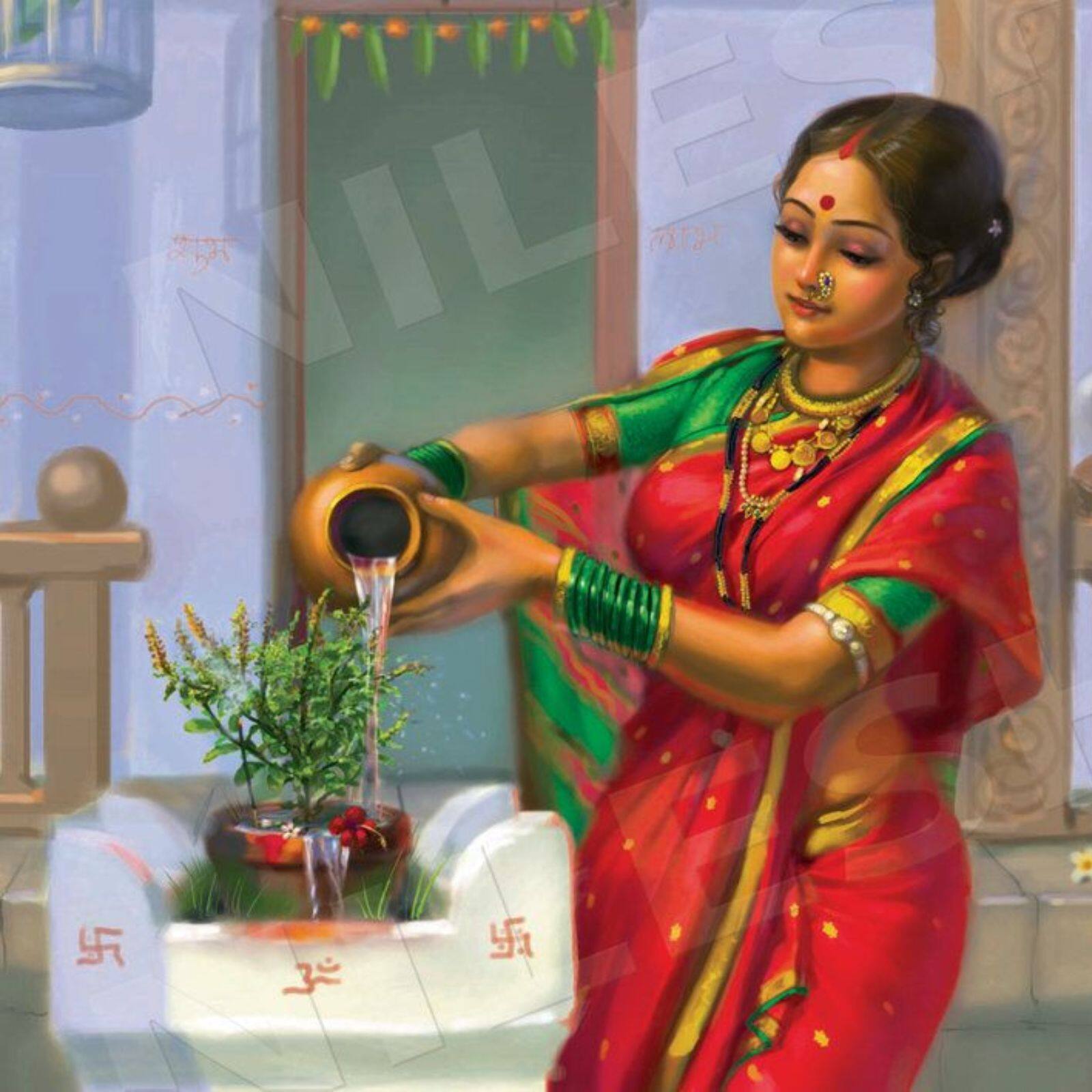 પૂજા માટે કઈ તુલસી યોગ્ય છે, રામ કે શ્યામ? - Which tulsi is suitable for worship, Ram or Shyam? | - News18 ગુજરાતી