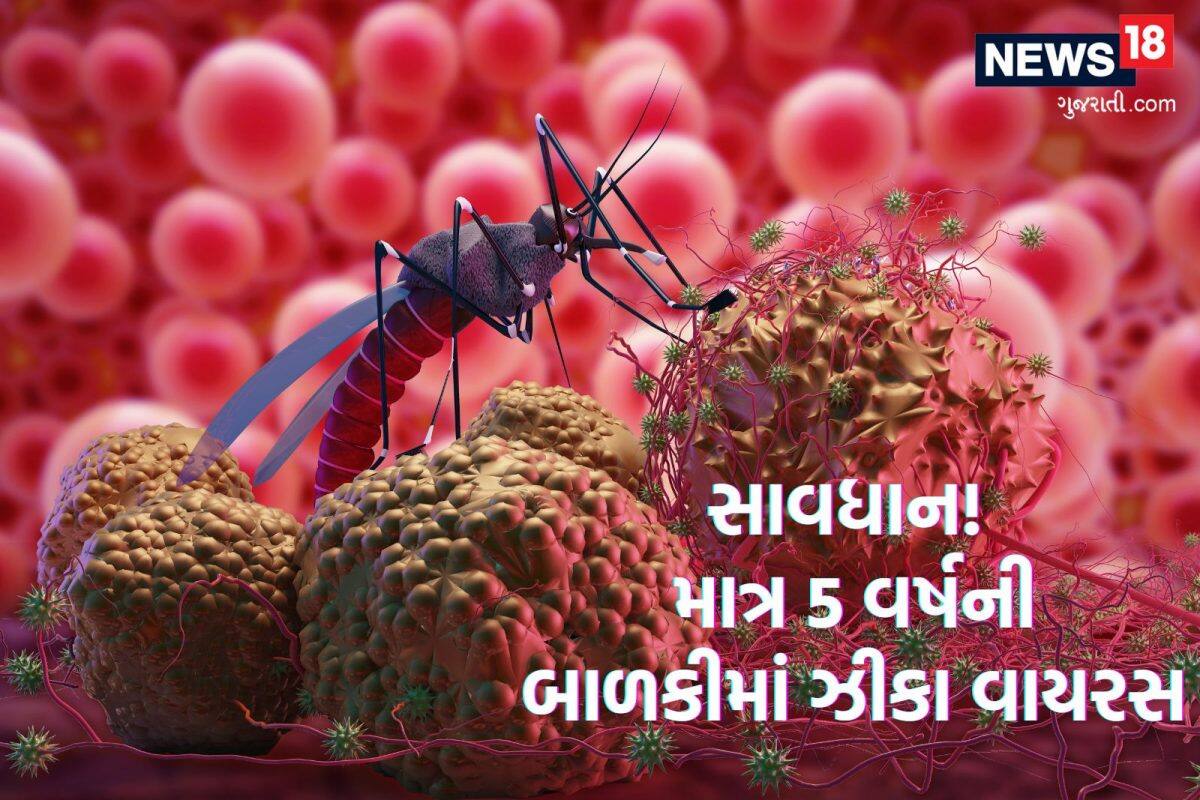 ZIKA VIRUS: સાચવજો! કર્ણાટકમાં નોંધાયો ઝીકા વાયરસનો પહેલો કેસ, 5 વર્ષની બાળકી સંક્રમીત થતાં હડકંપ