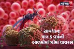 સાચવજો! કર્ણાટકમા નોંધાયો ઝીકા વાયરસનો પહેલો કેસ, અહીં 5 વર્ષની બાળકી સંક્રમીત થતાં હડકંપ